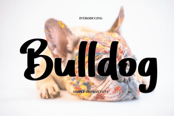Bulldog: A Modern Handwritten Font for Stylish Branding Projects