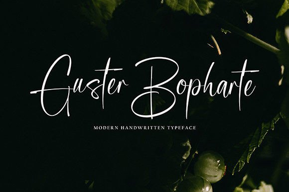How Guster Bopharte Helped My Small Business Look More Polished and Professional