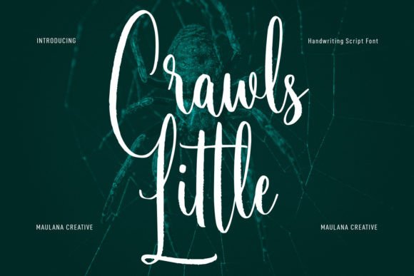 Little Crawls: A Handwritten Script Font for Modern Web Design